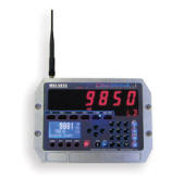 MSI-9850 CellScale� RF Digital Indicator